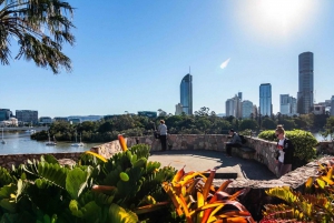 6 Hours Brisbane Private Tour - Popular Sights in One Day