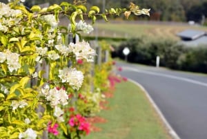 Winery Tour and Tasting