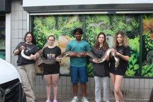 Bristol: Big Snake Keeper for Two People