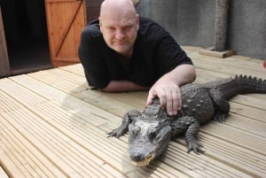 Bristol: Crocodile Keeper for a Day Experience