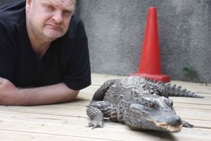 Bristol: Crocodile Keeper for a Day Experience