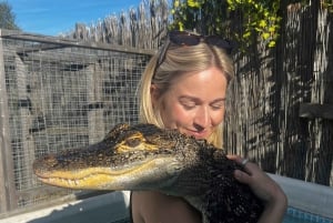 Bristol: Crocodile Swimming Experience with Lunch x2