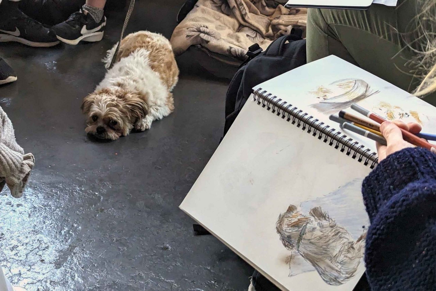 Bristol: Dog Life Drawing led by local Artist Cai Burton