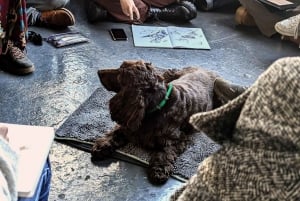 Bristol: Dog Life Drawing under ledelse af den lokale kunstner Cai Burton