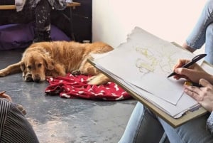 Bristol: Dog Life Drawing under ledelse af den lokale kunstner Cai Burton