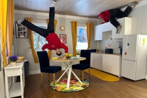 Bristol: Upside Down House -sisäänpääsylipun