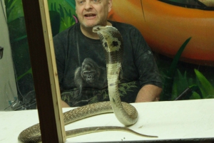 Bristol: Venomous Snake handling show and educational talk.