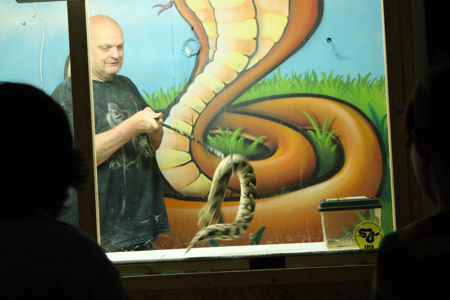 Bristol: Venomous Snake Show with Tour