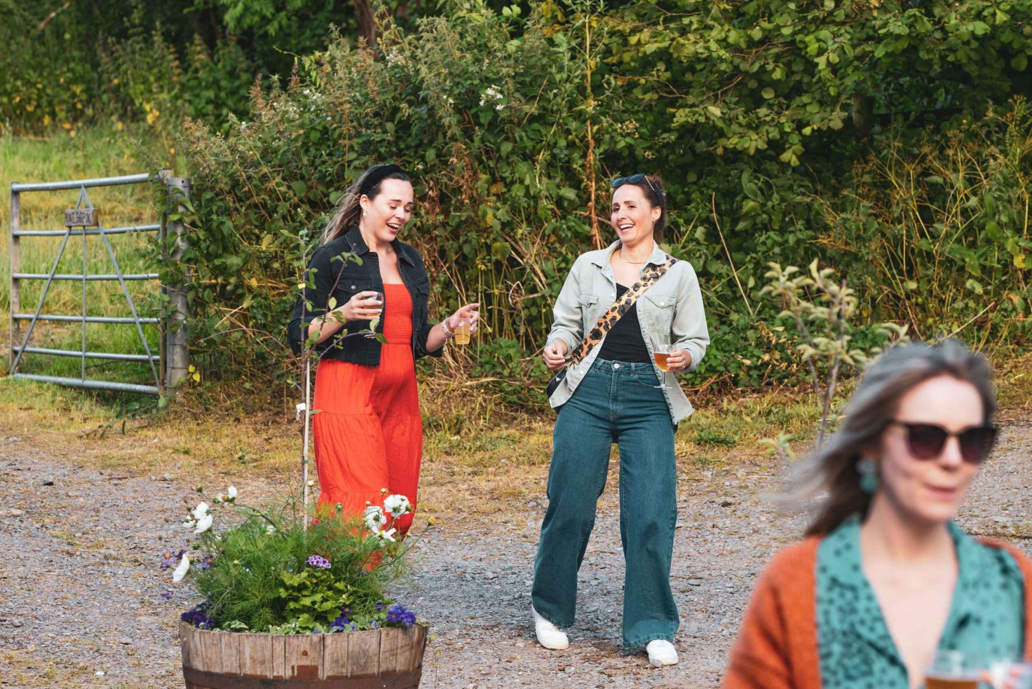 Bristol: Viini- ja siiderikierros ja maistiaiset