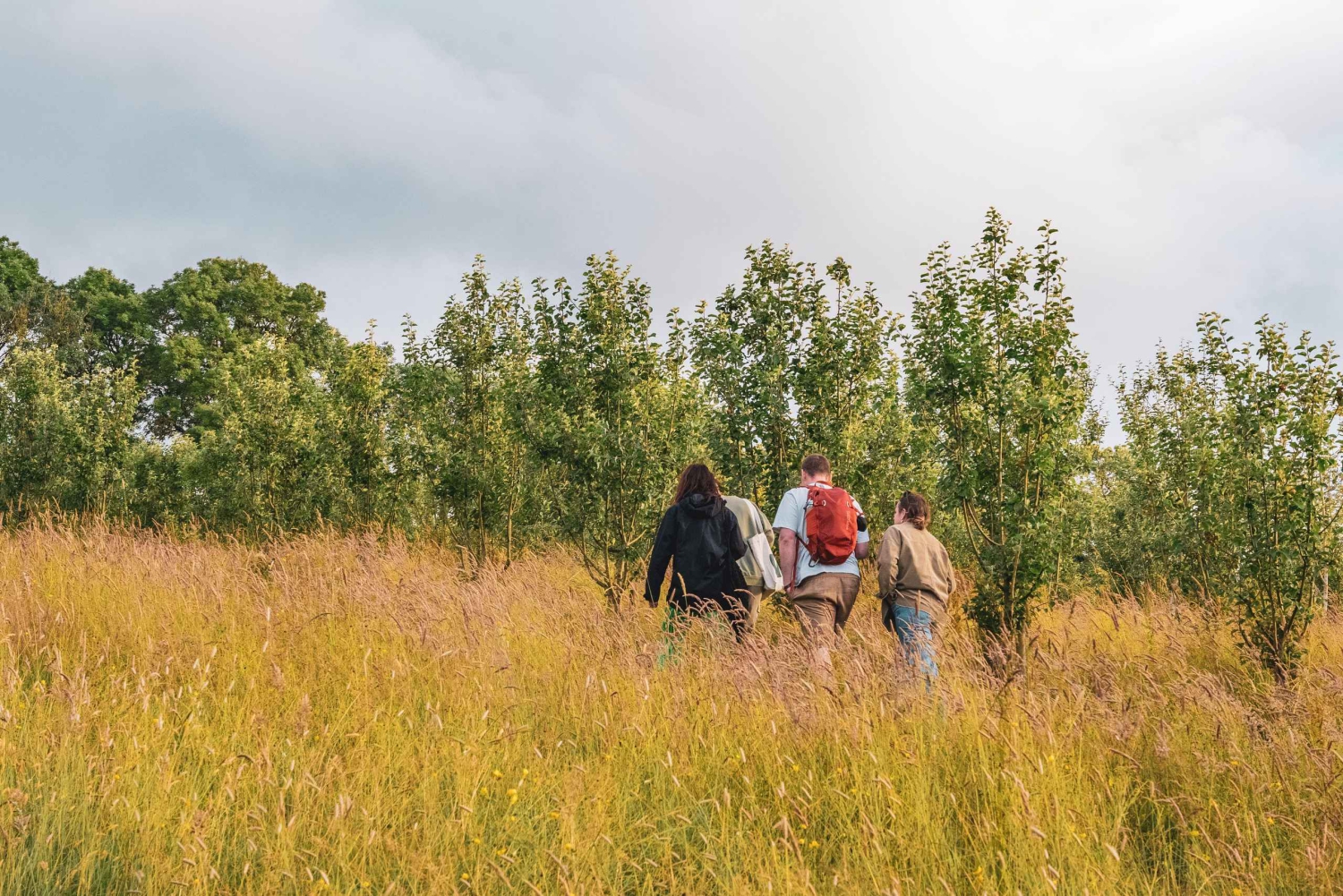 Bristol: Viini- ja siiderikierros ja maistiaiset