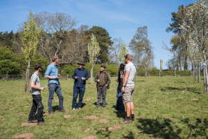 Bristol: Viini- ja siiderikierros ja maistiaiset