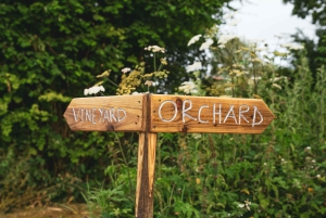 Bristol: Viini- ja siiderikierros ja maistiaiset