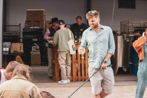 Bristol: Viini- ja siiderikierros ja maistiaiset