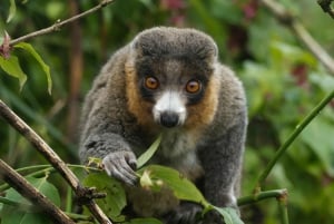 Bristol: Ingresso para o Bristol Zoo Project