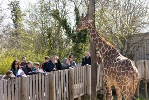 Bristol : Billets d'entrée pour le projet du zoo de Bristol