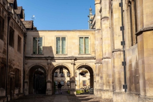 Cambridge: University Alumni Tour with Kings College Option