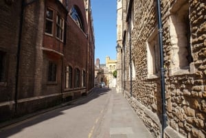 Cambridge: University Alumni Tour with Kings College Option