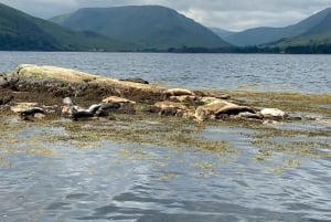 Fort William: Seal Spotting Loch Linnhe Cruise