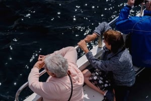 Fort William: Seal Spotting Loch Linnhe Cruise