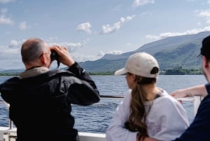 Fort William: Seal Spotting Loch Linnhe Cruise