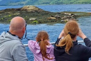 Fort William: Seal Spotting Loch Linnhe Cruise