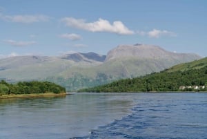 Fort William: Seal Spotting Loch Linnhe Cruise