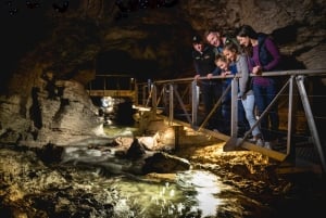 Te Anau: Glowworm Caves Guided Tour