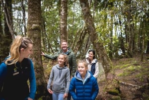 Te Anau: Glowworm Caves Guided Tour