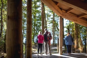 Te Anau: Glowworm Caves Guided Tour