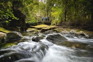 Te Anau: Glowworm Caves Guided Tour