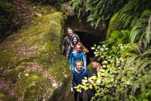 Te Anau: Glowworm Caves Guided Tour