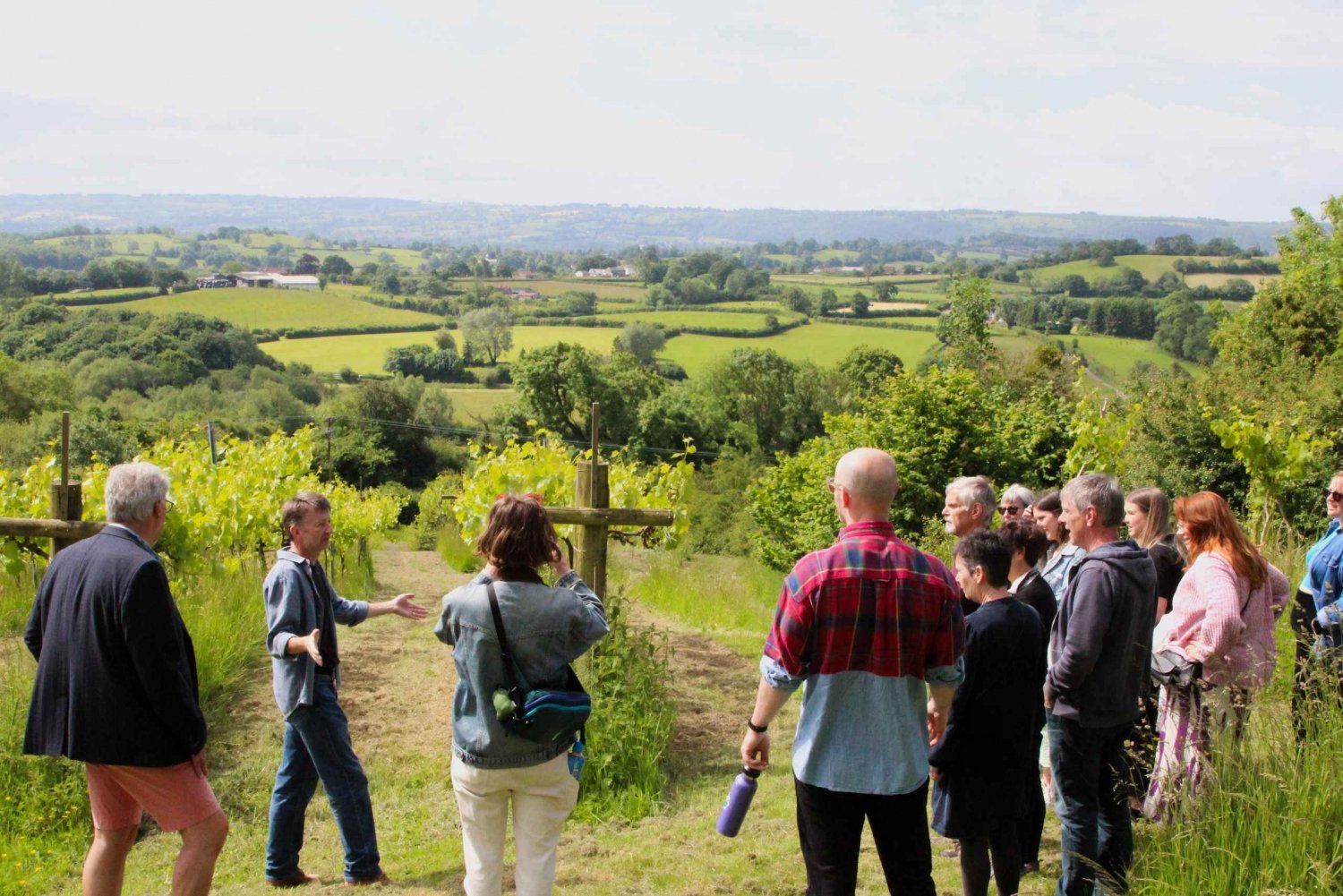 Bristol: Wein & Käse im Cheddartal