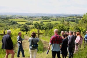 Bristol: Wine & Cheese in the Cheddar Valley