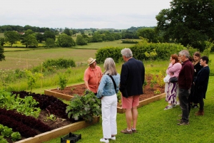 Bristol: Wine & Cheese in the Cheddar Valley