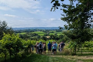 Bristol: Wine & Cheese in the Cheddar Valley