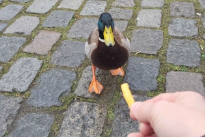 2-Day Tour from Paris: Luxembourg, Brussels, Ghent & Bruges