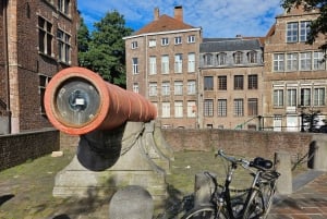 Da Bruxelles: tour privato ad Anversa, città dei diamanti e dell'arte