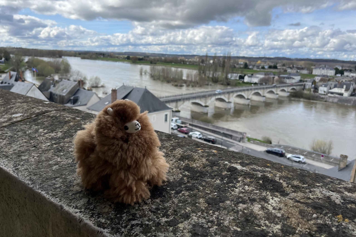 Belgien: Privater Flughafentransfer-Service