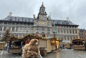 Belgium: Private Airport Transfer Service