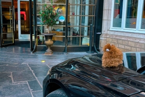 Belgien: Privater Flughafentransfer-Service