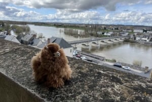 Belgien: Privater Flughafentransfer-Service