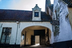 Belgien: Togudflugt fra Bruxelles til Brugge