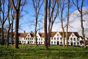 Bruges Full-Day Guided Tour from Brussels