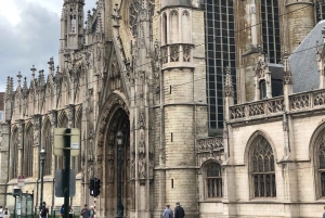 Bruksela: Prywatna 2-godzinna wycieczka krajoznawcza z lokalnym przewodnikiem