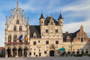 Bruxelles : excursion à Anvers et Malines en train