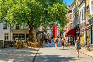 Brussels Airport: Bus Transfer from/to Breda Netherlands