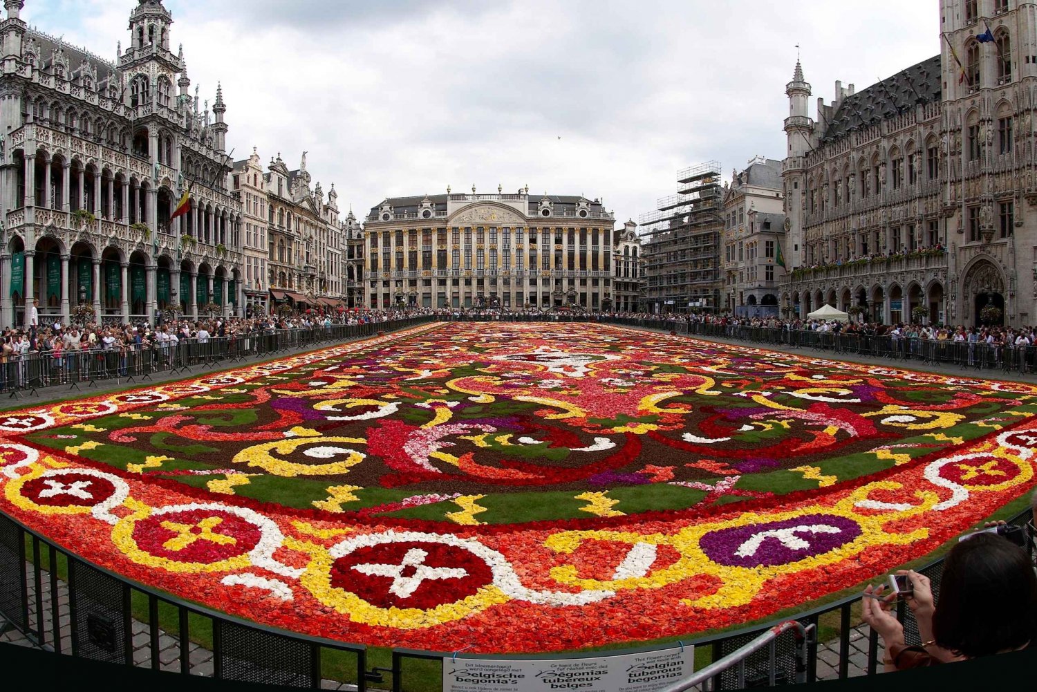 Brussels and Atomium: Flower Carpet Festival from Amsterdam