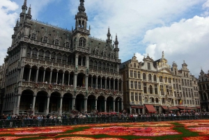 Fra Amsterdam: Dagsomvisning i små grupper til Brussel og Atomium