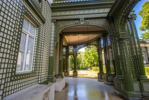 Brussels’ Art and Culture revealed by a Local