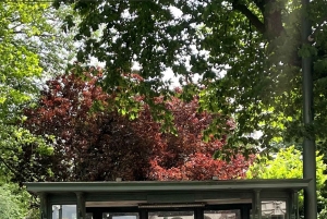 Bruxelles : visite d'une demi-journée sur le thème de l'Art nouveau avec dégustation de chocolat